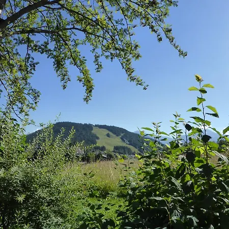 Lejlighed Haus Suedblick